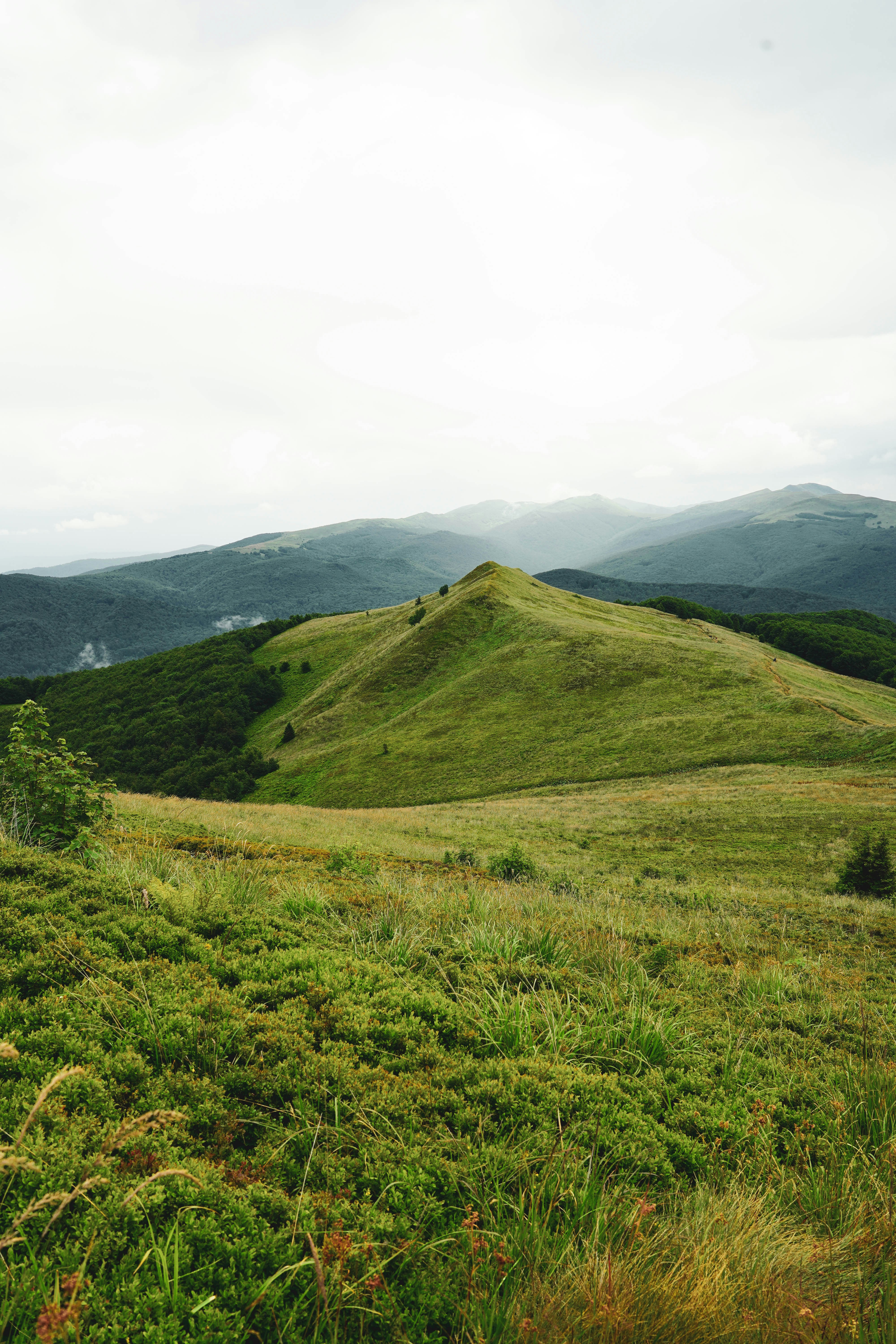 Photo by lesniakkaro