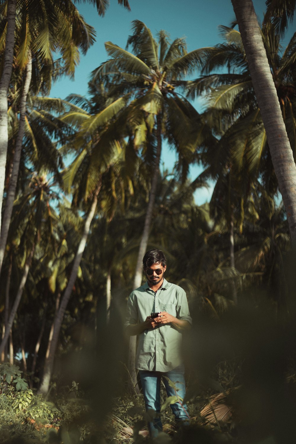 a man standing in front of palm trees