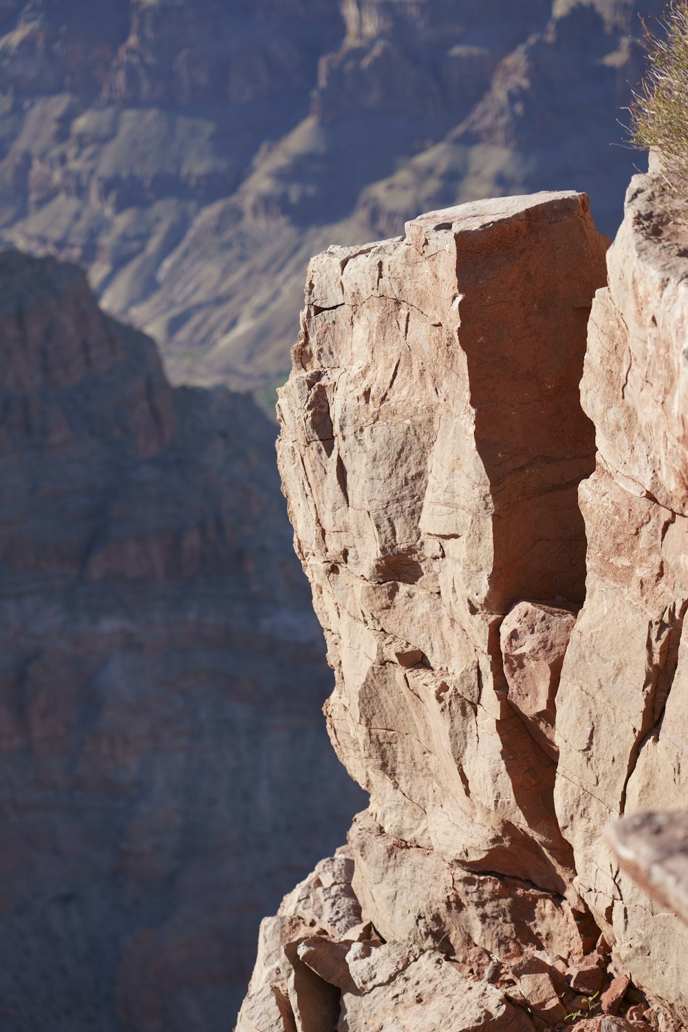 a rock cliff with a tree