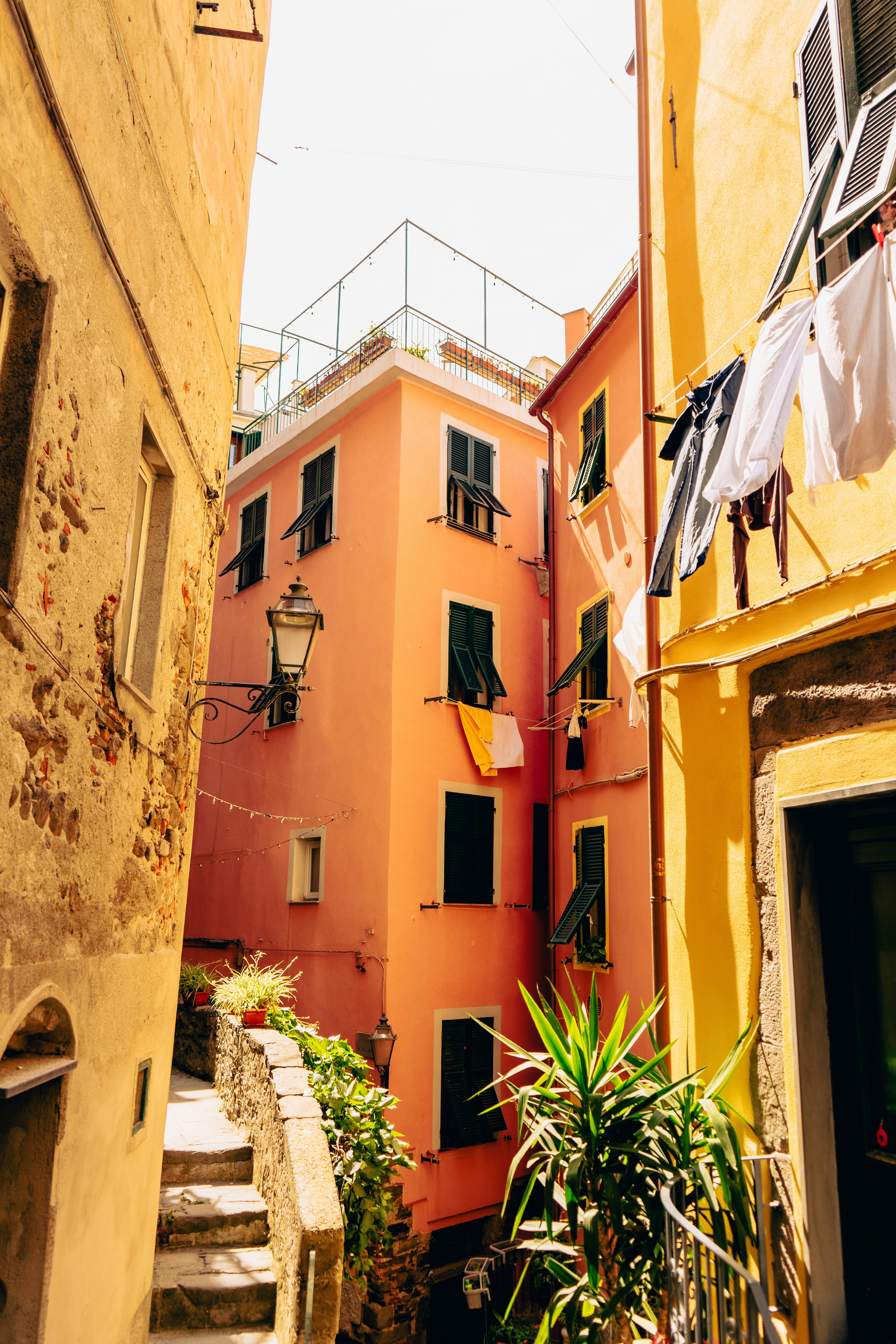 Photo by virussinside