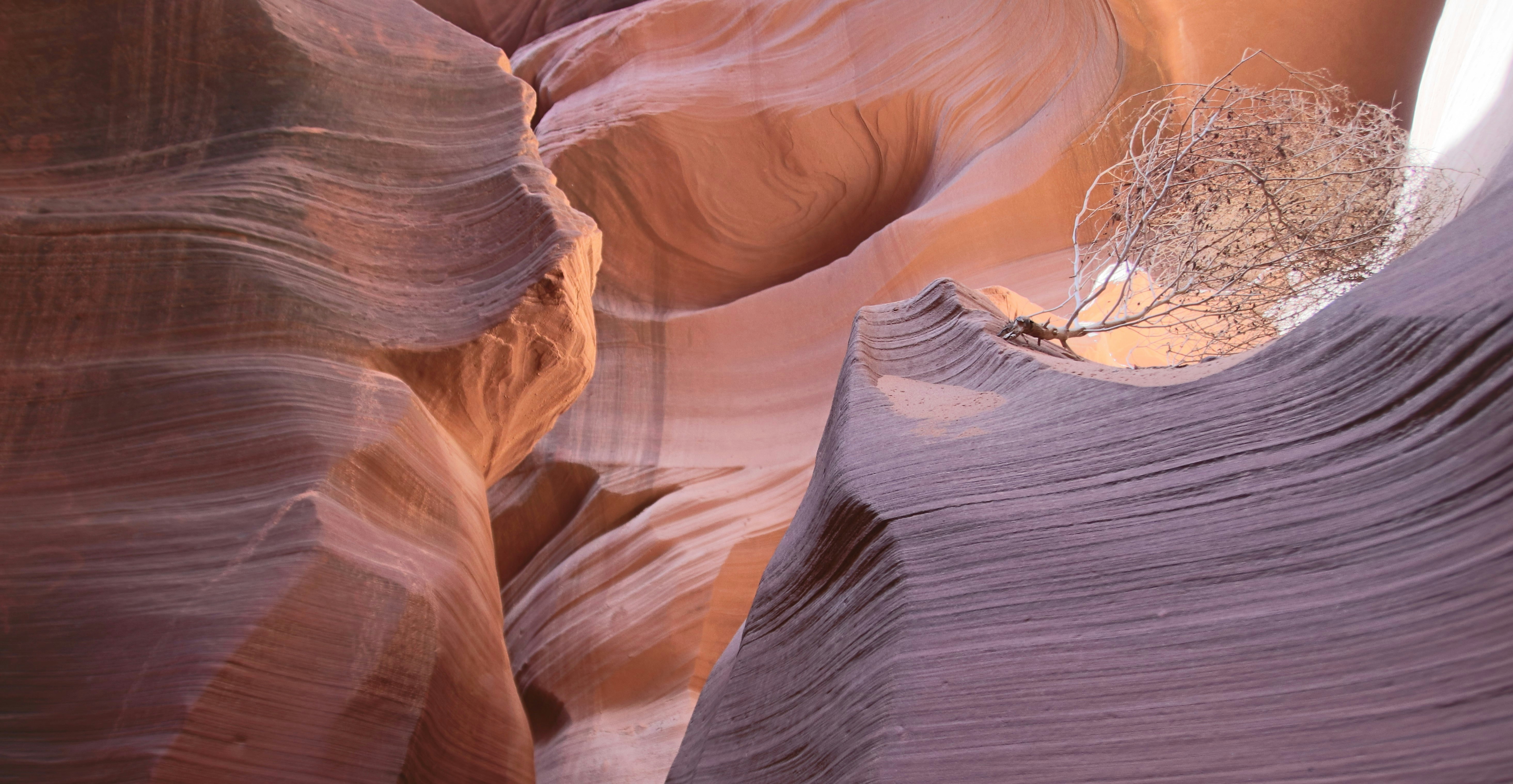 Photo by silverdaddy