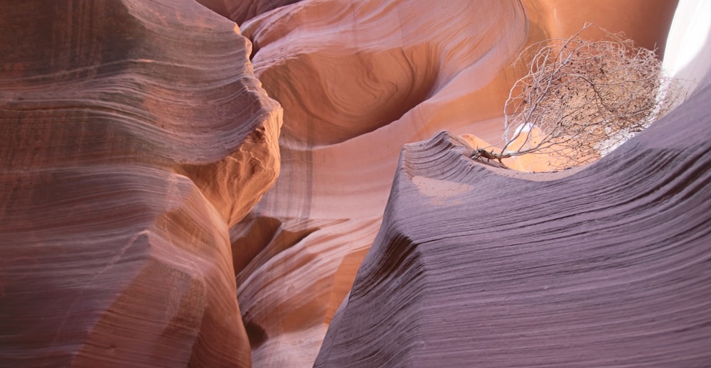 a group of people in a canyon