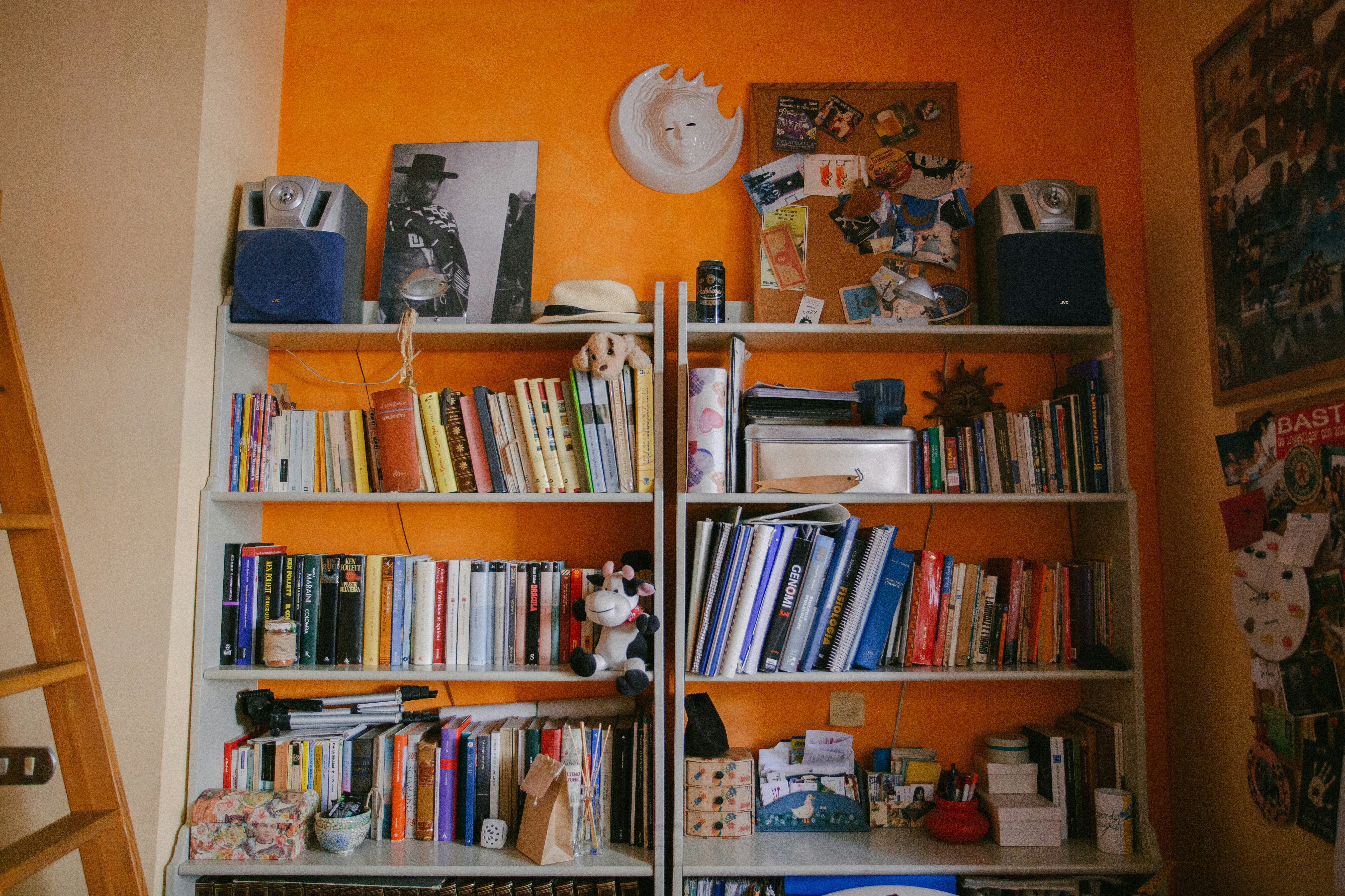Bookshelf with books