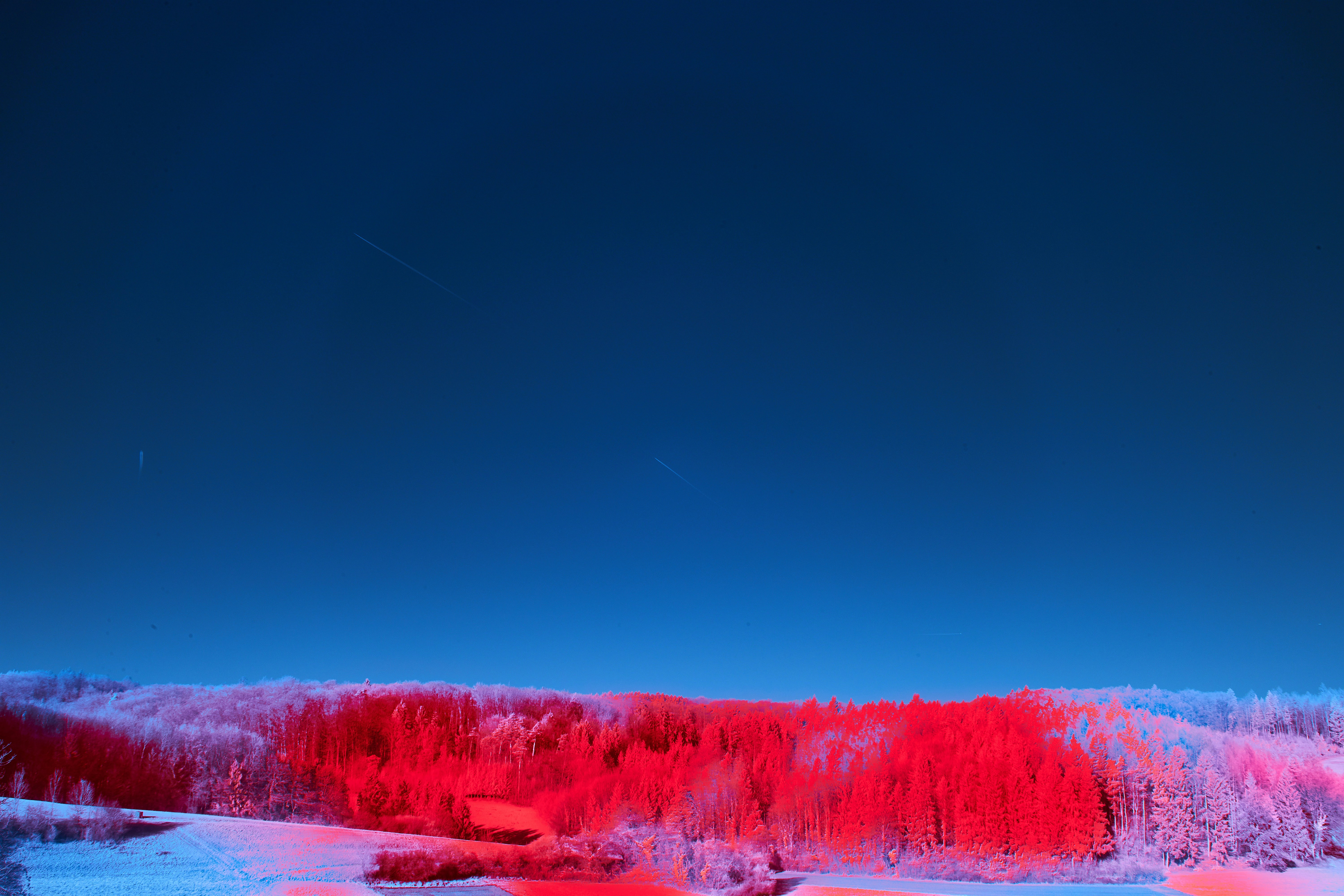 Photo by wolfgang_hasselmann