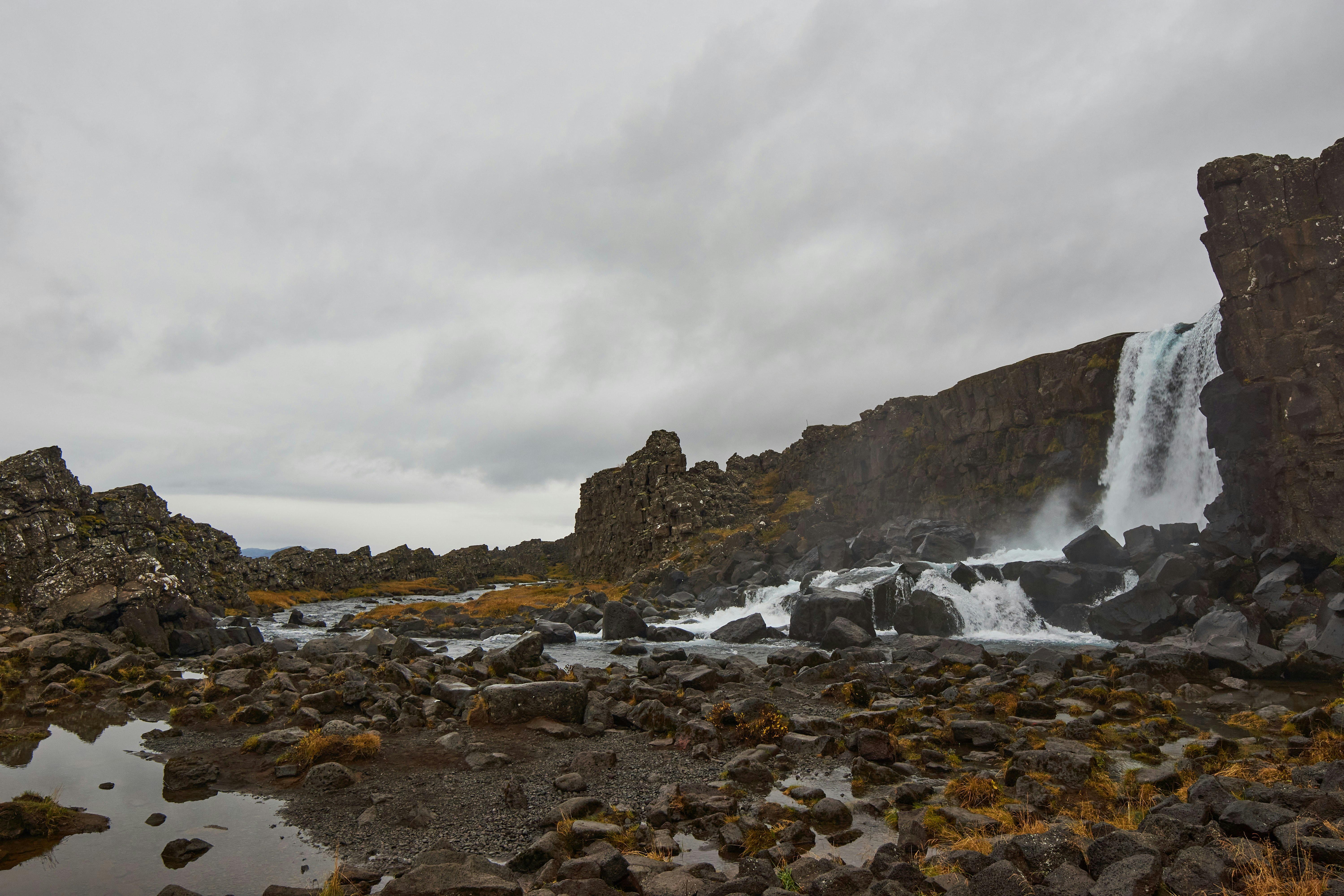 Photo by wolfgang_hasselmann