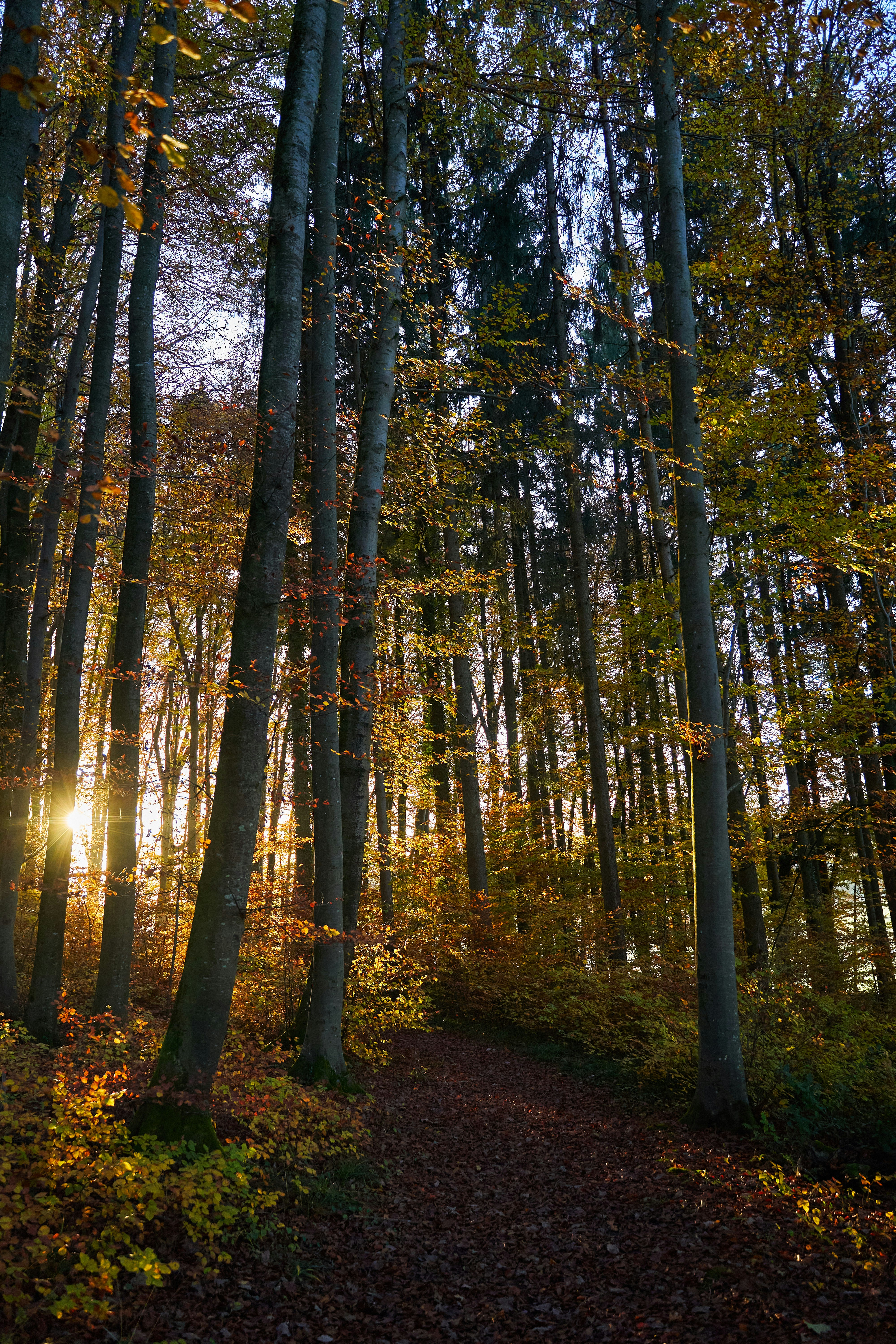 Photo by wolfgang_hasselmann