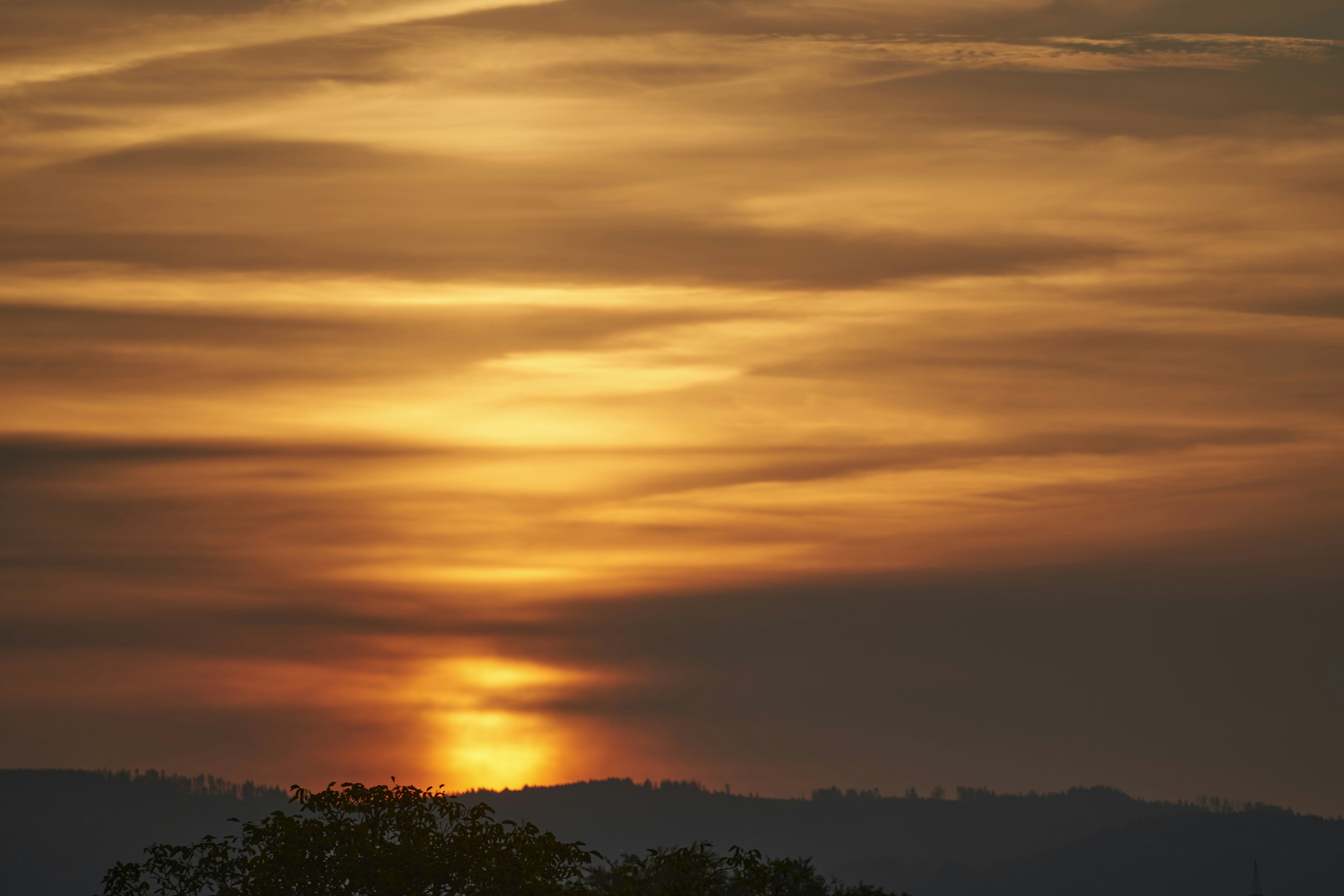 Photo by wolfgang_hasselmann