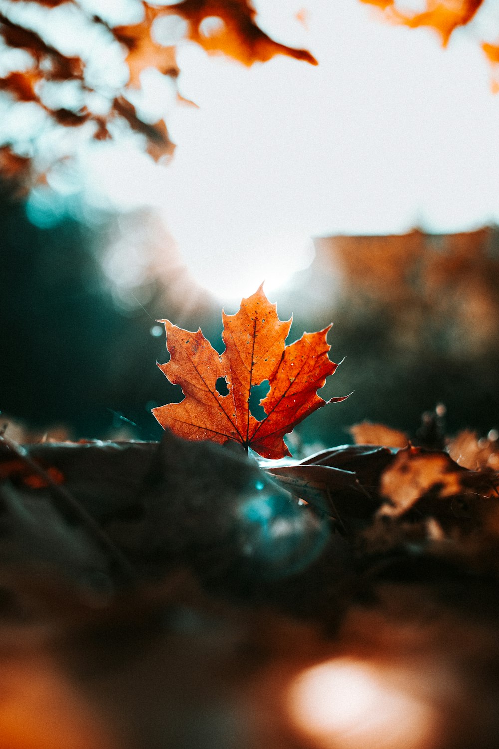 Woman in yellow tank top holding green leaves photo – Free Leaf Image on  Unsplash