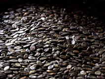 a close-up of a pile of rocks