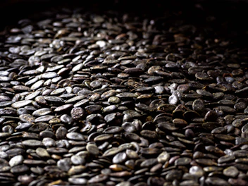 a close-up of a pile of rocks
