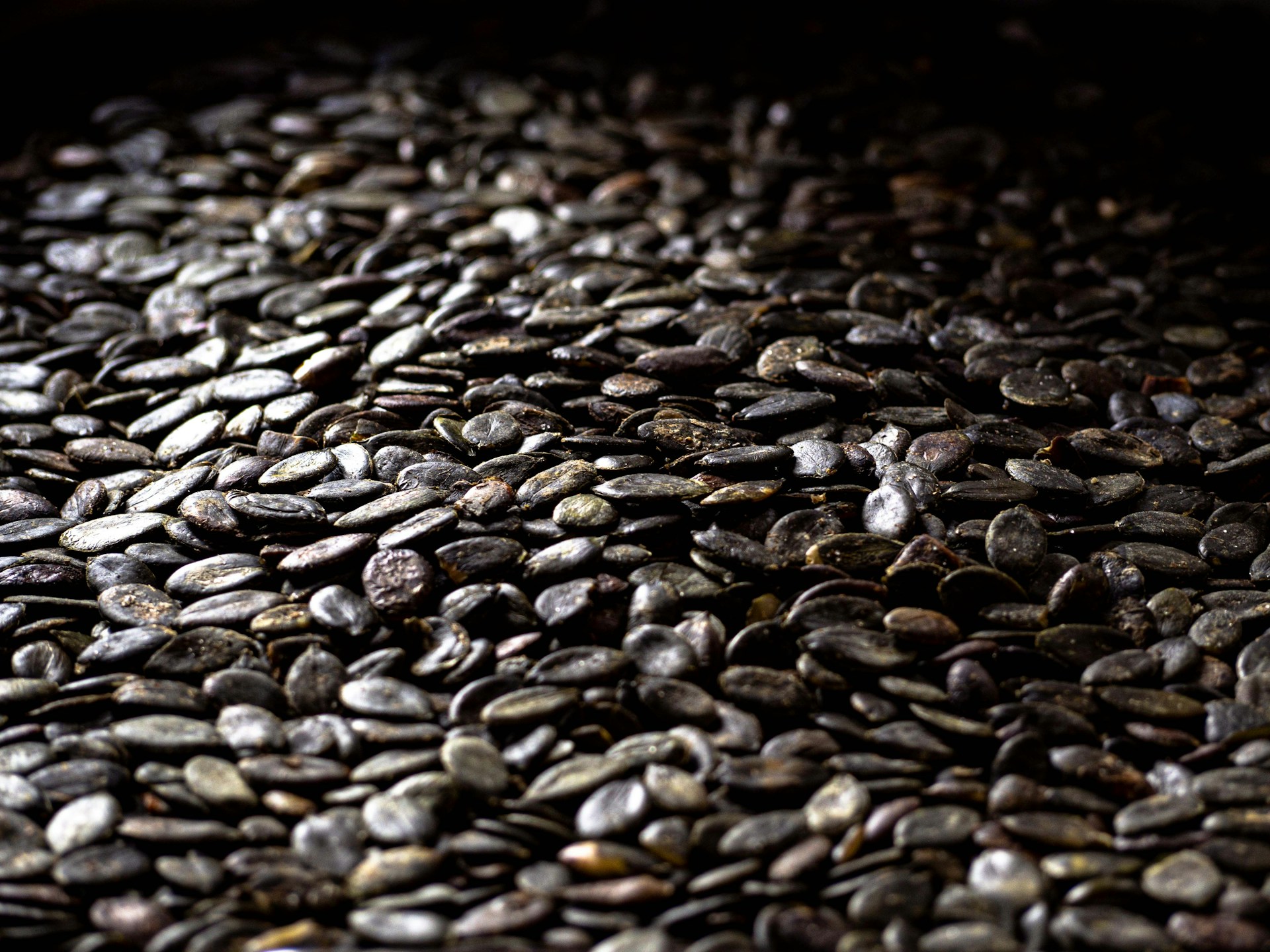 a close-up of a pile of rocks