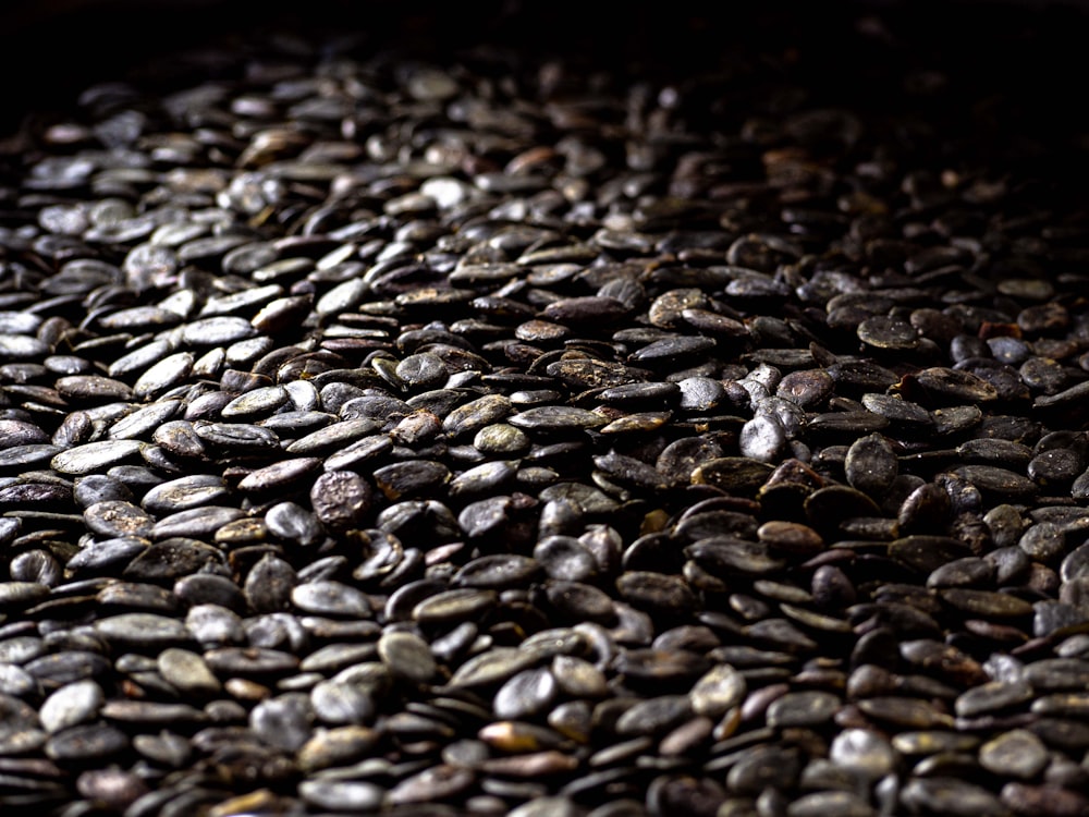 a close-up of a pile of rocks