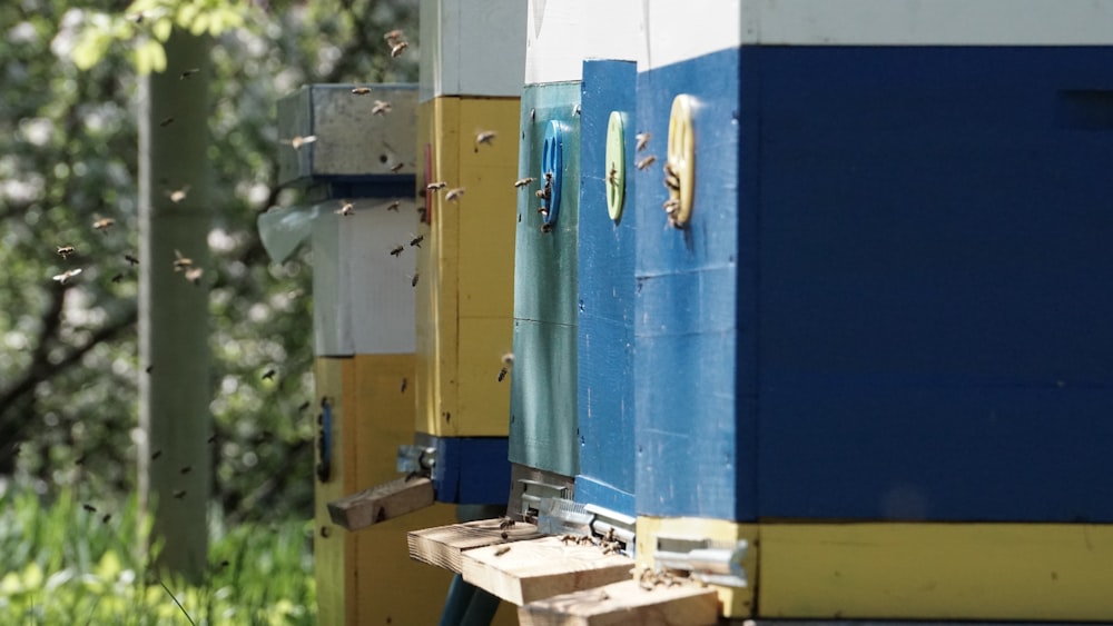 a group of blue and yellow doors