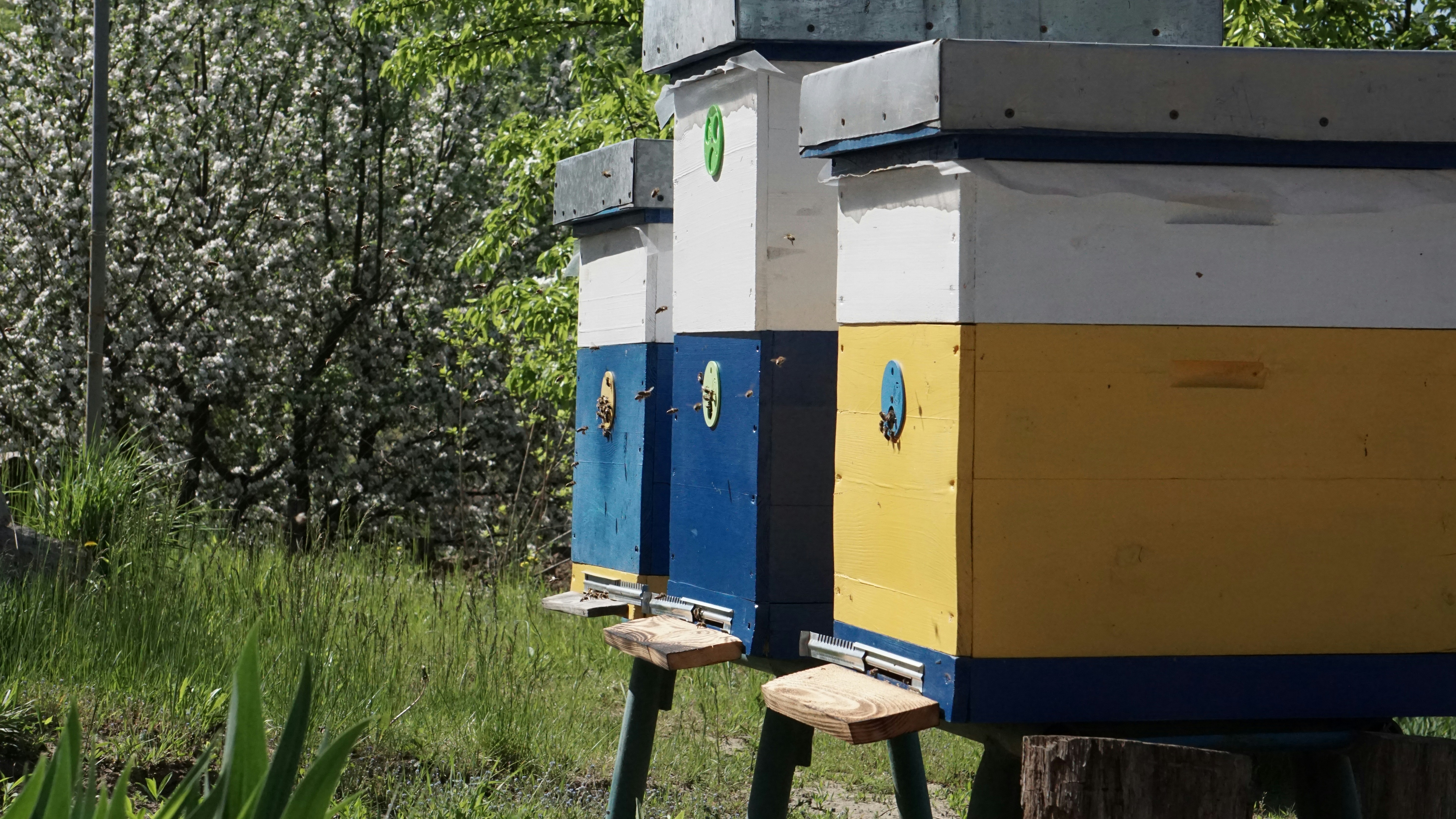 その前にベンチがある小さな小屋