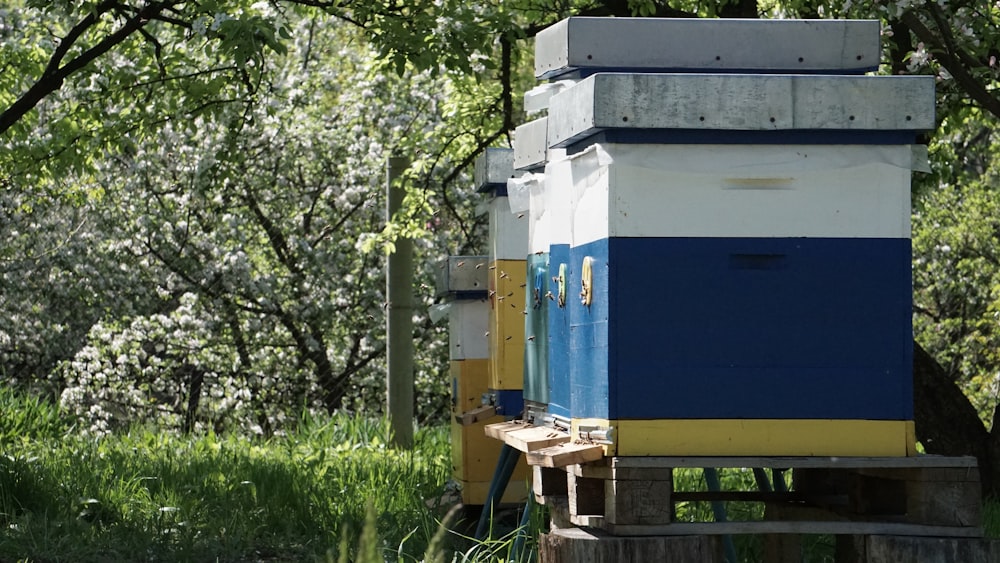 a blue and yellow shed