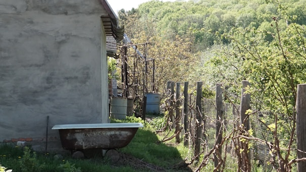 A rustic outdoor scene features an old, weathered bathtub next to a stone or concrete building. The building is partially obscured by vegetation. A wooden fence adorned with climbing plants runs alongside, while lush greenery and a dense forest fill the background.