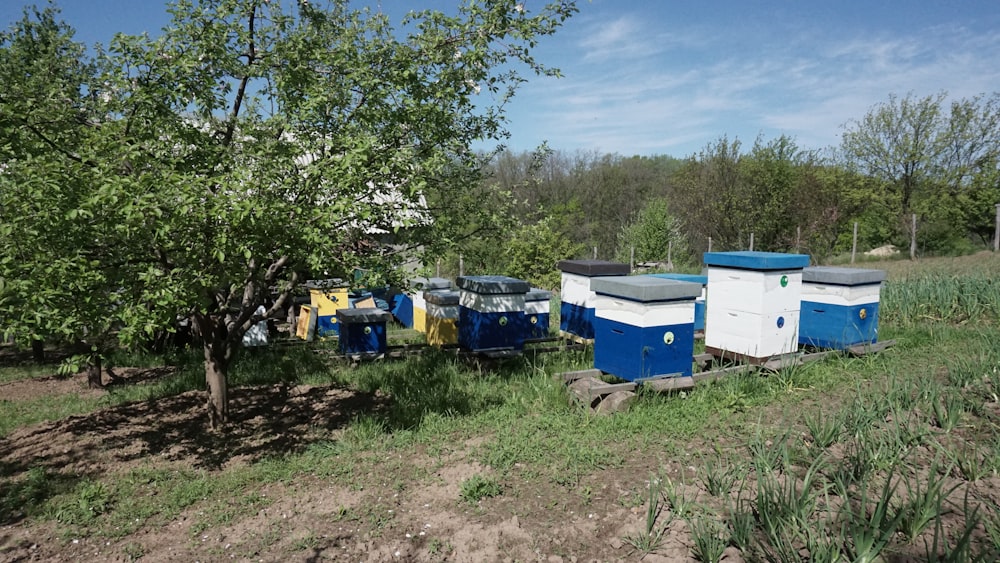 a group of blue and white containers