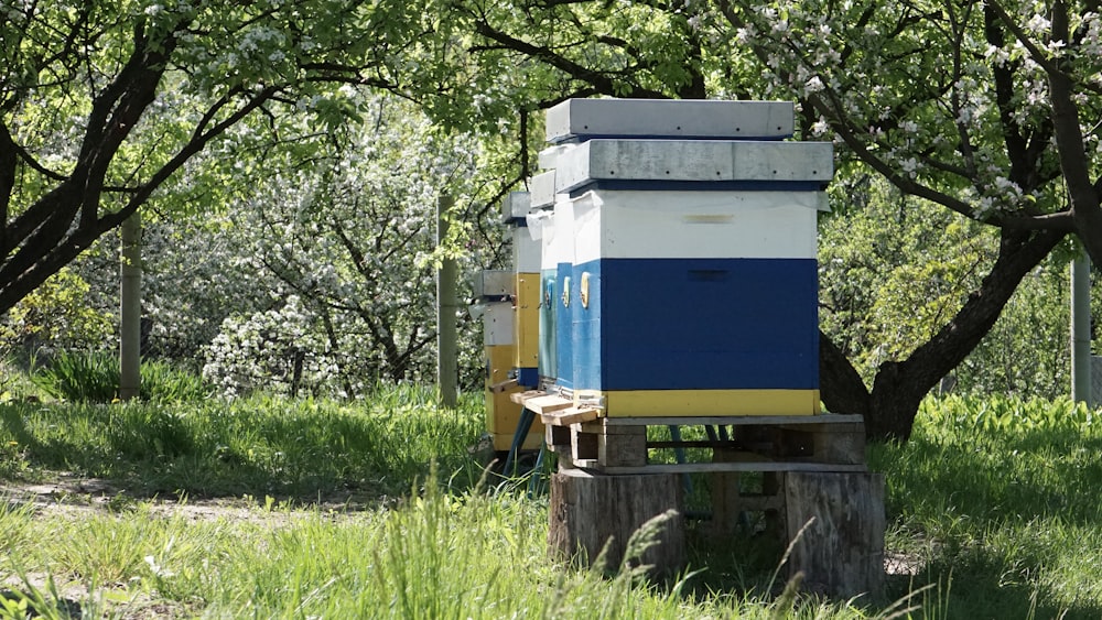 a small blue and yellow building