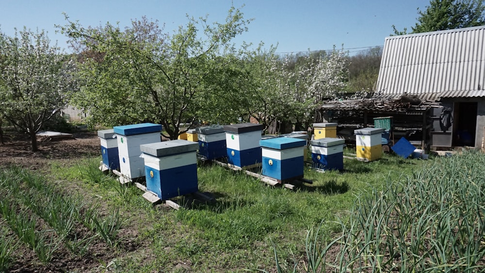 a group of blue containers in a grassy area next to a building