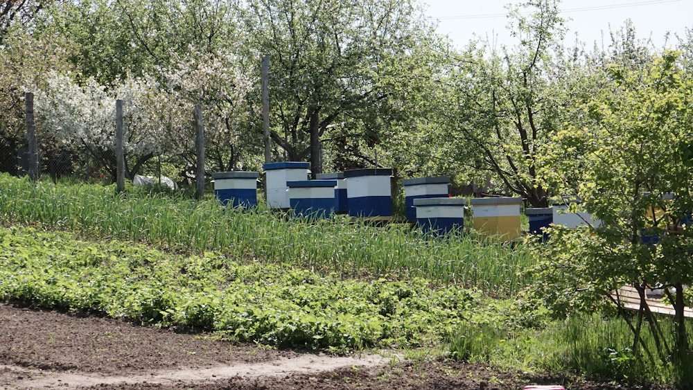a group of blue containers in a field