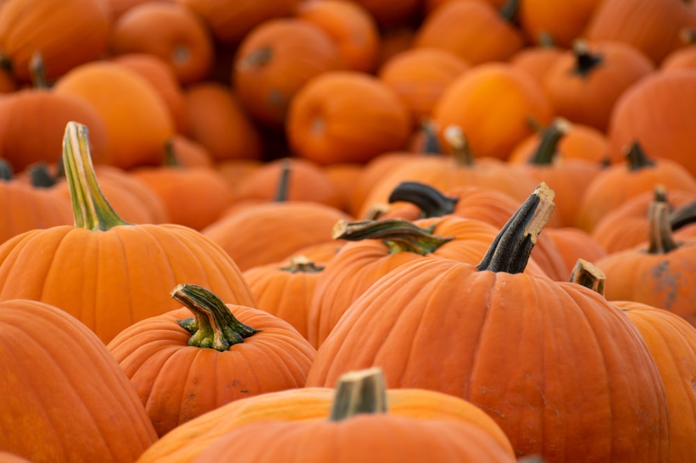 a pile of orange pumpkins