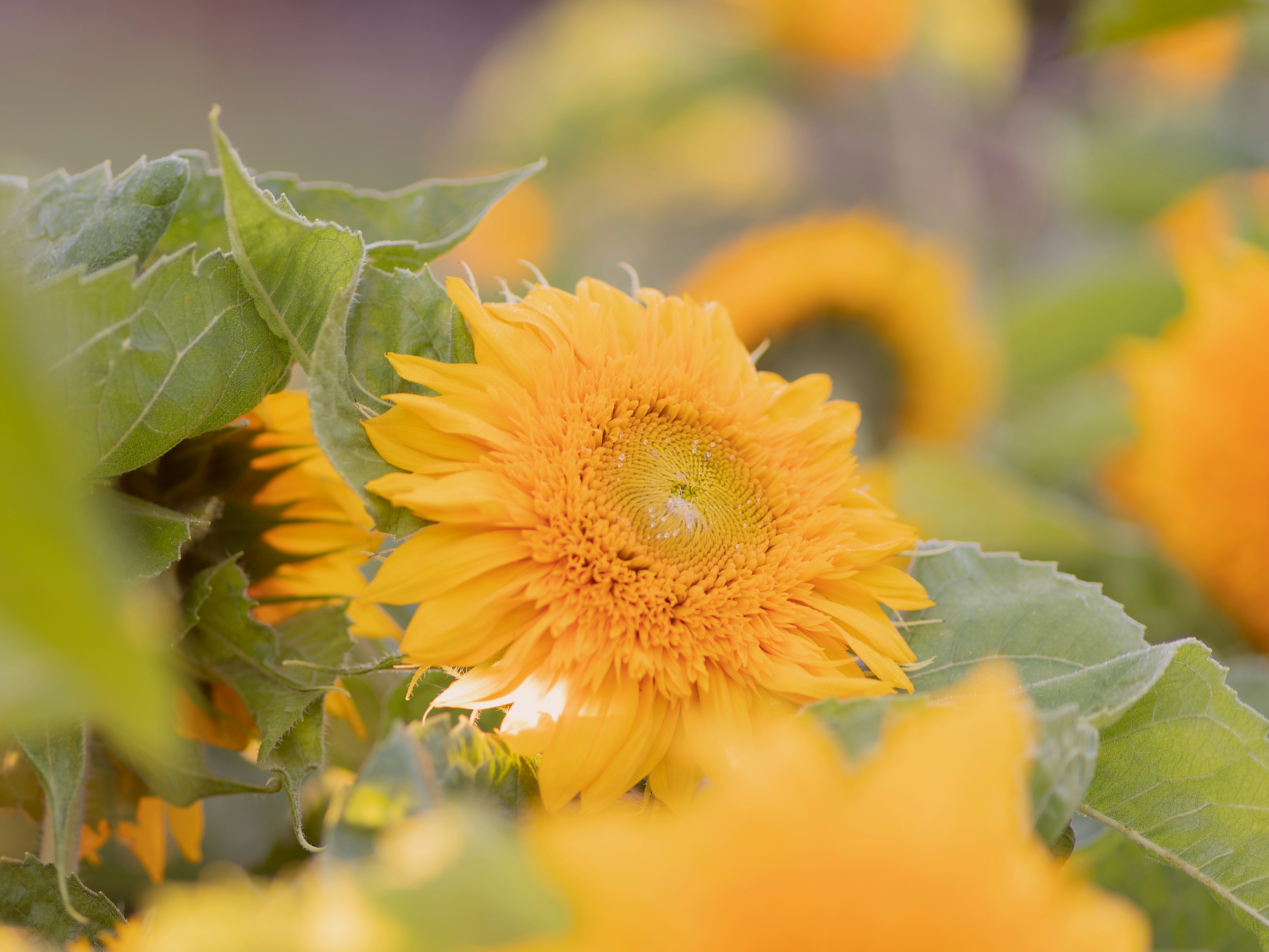 Photo by chartakesphotos