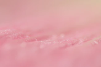 Soft close-up of smooth skin with gentle beige and pink tones in the background.