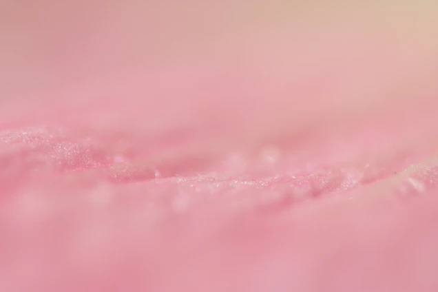 Soft close-up of smooth skin with gentle beige and pink tones in the background.