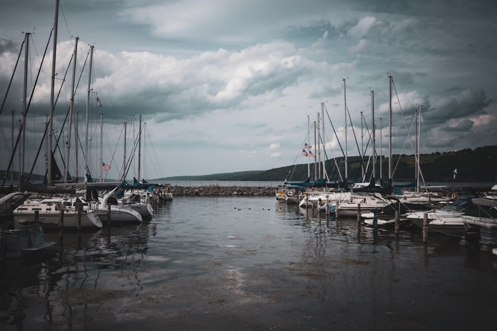 a group of sailboats sit in a harbor