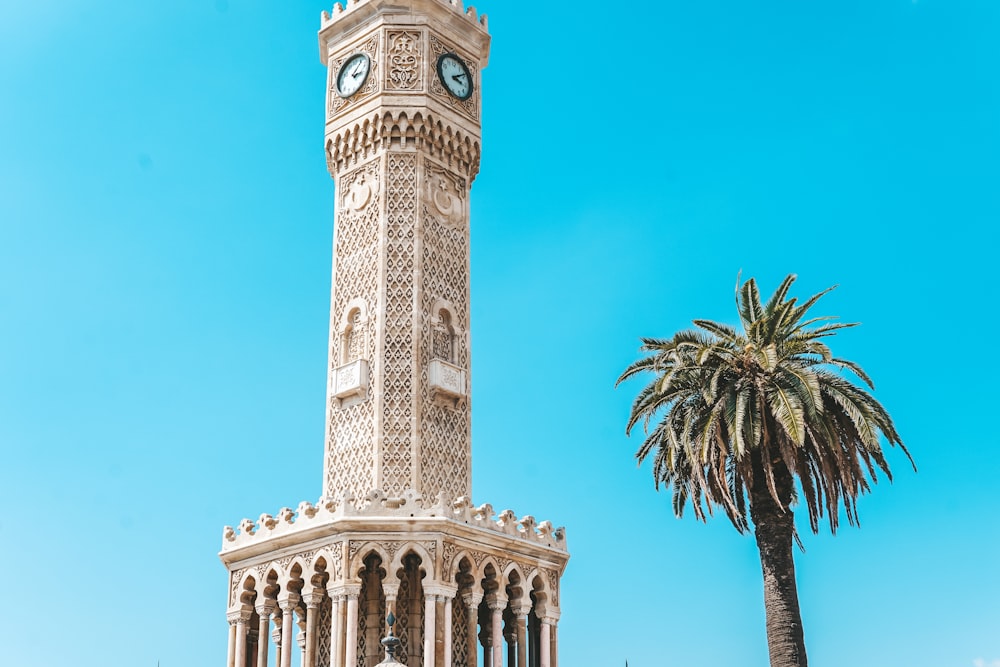 a clock tower with a palm tree
