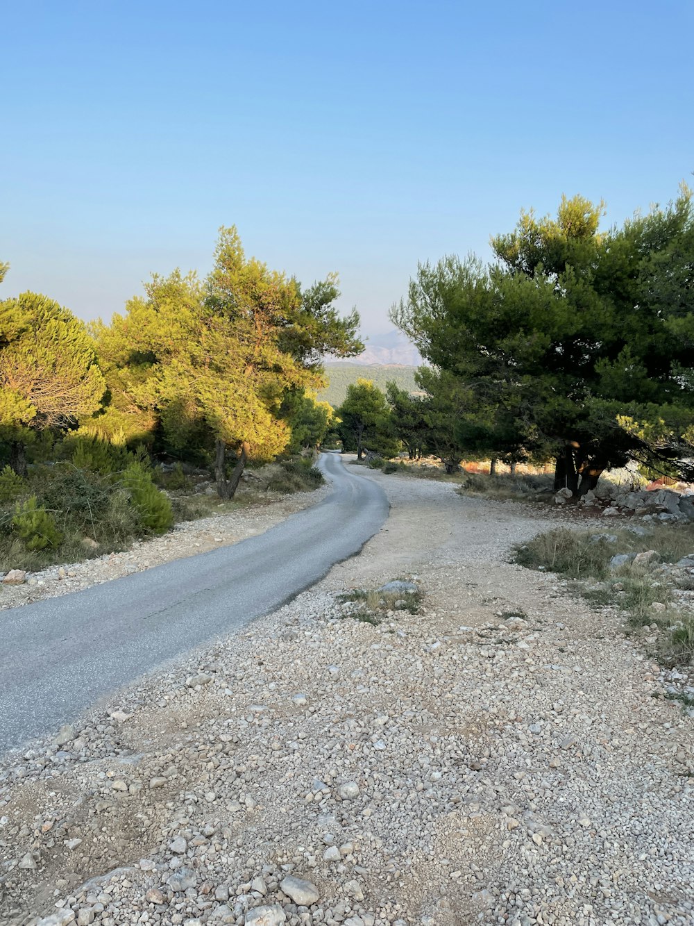 a gravel road with trees on either side of it