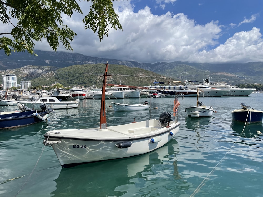 a group of boats sit in a harbor