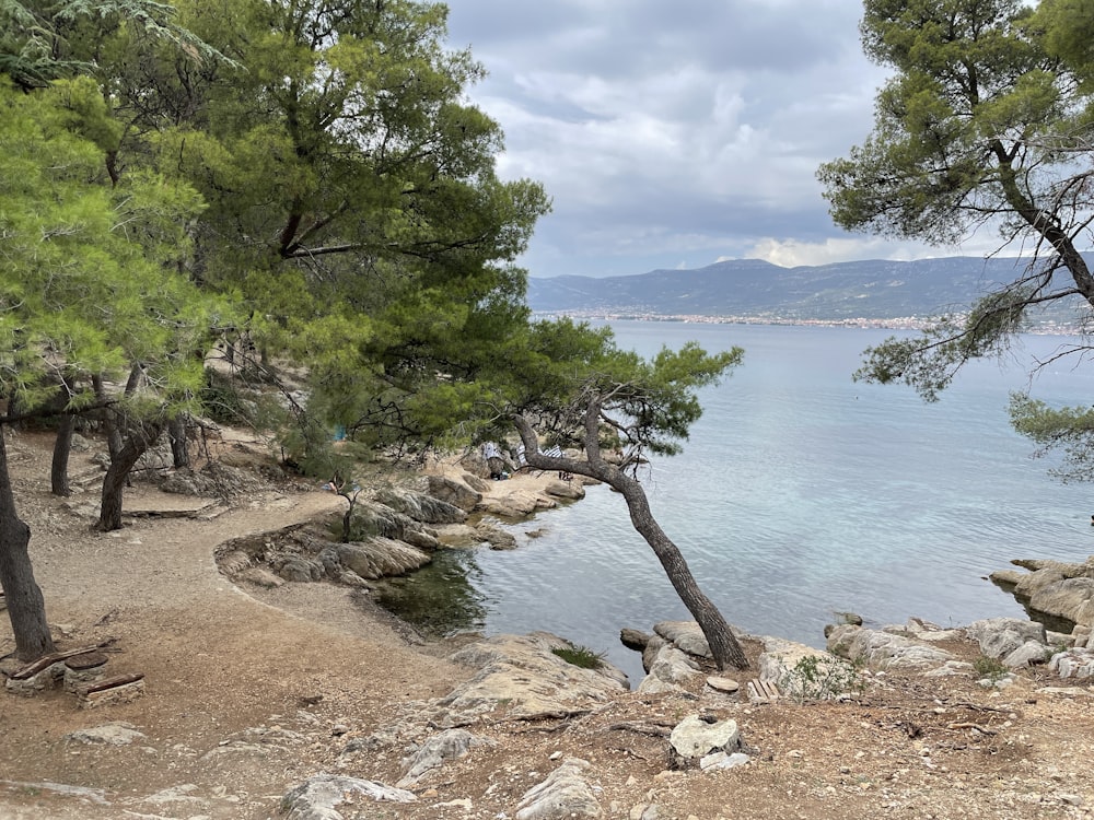 a rocky beach with trees and water