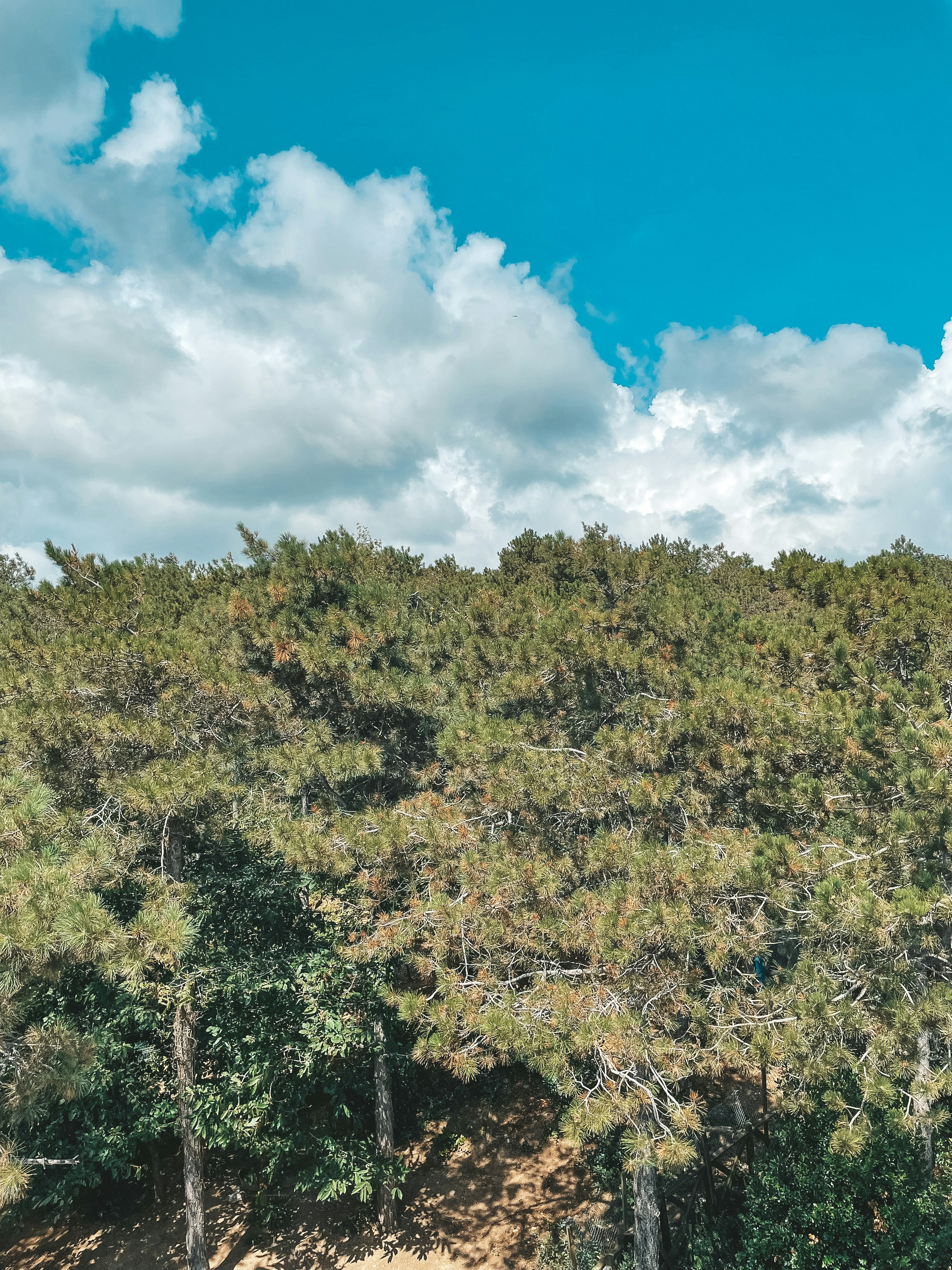 Photo by mertkahveci