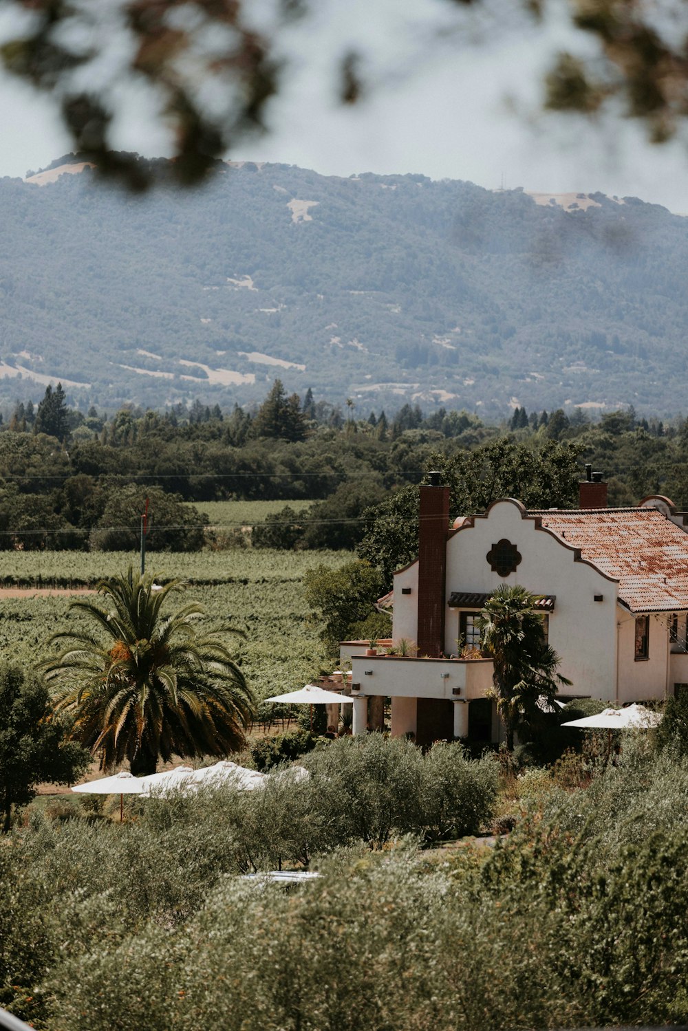 a house with a fire in the back and trees in the back