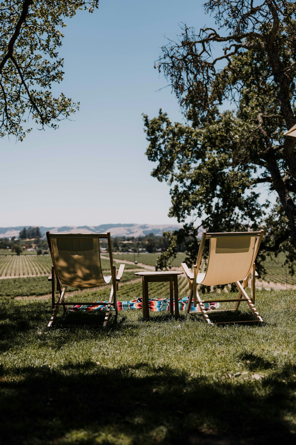 a group of chairs in a grassy field