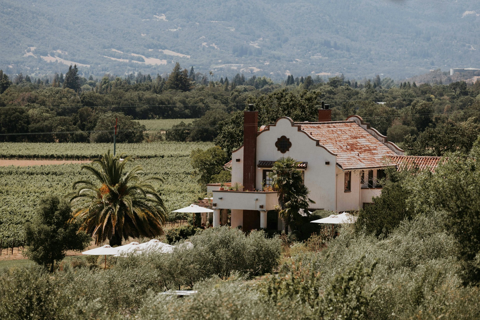 a house surrounded by trees