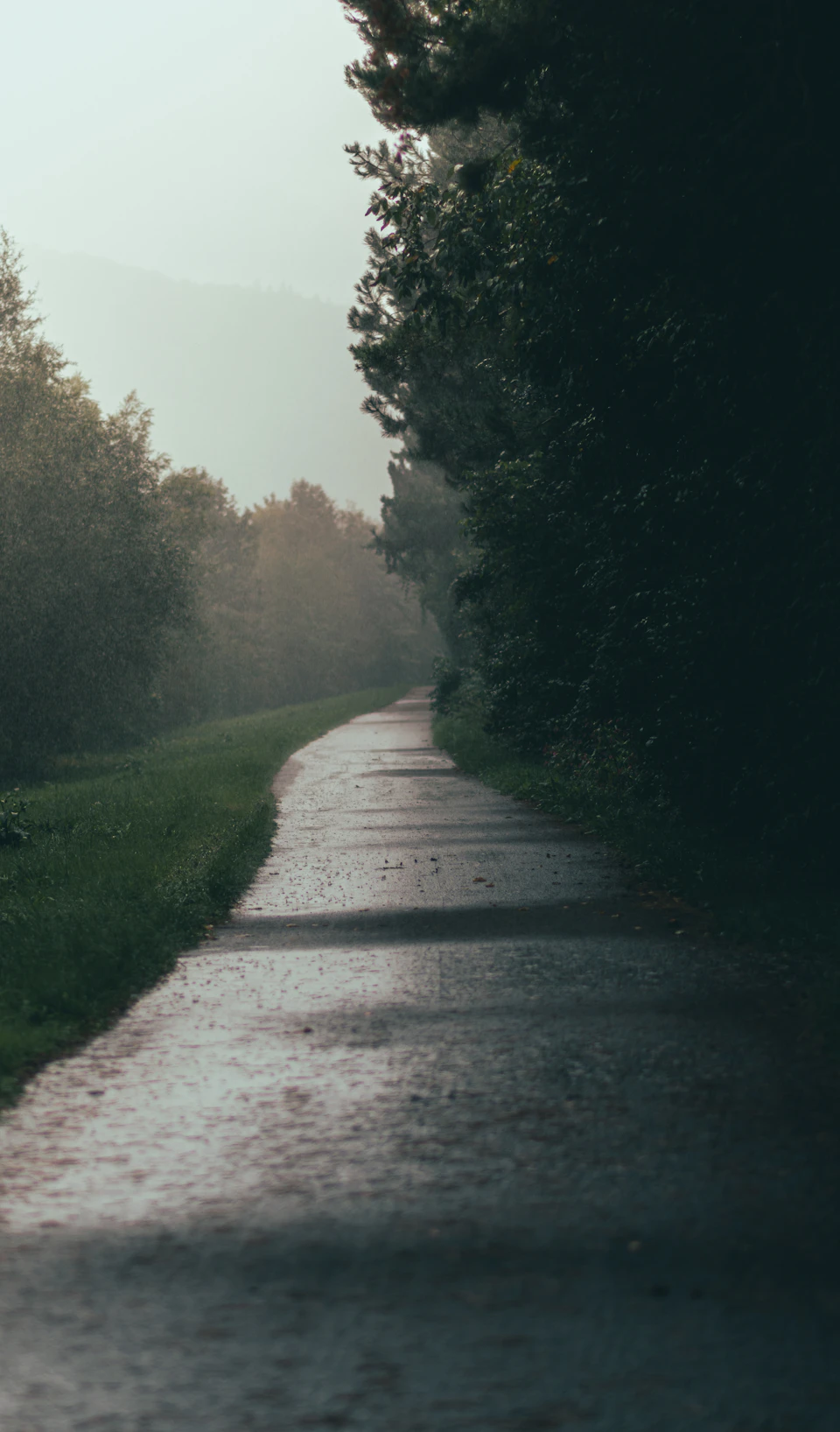 Serene, narrow gray concrete road winds through lush forest with overcast sky above