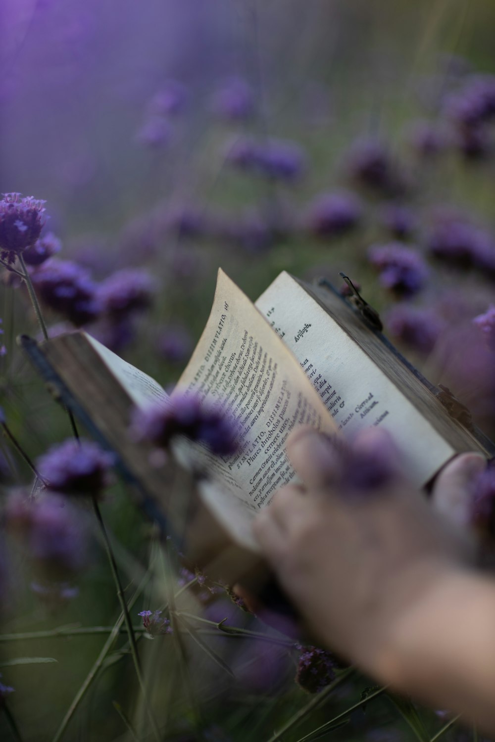 a hand holding a book in a field of purple flowers