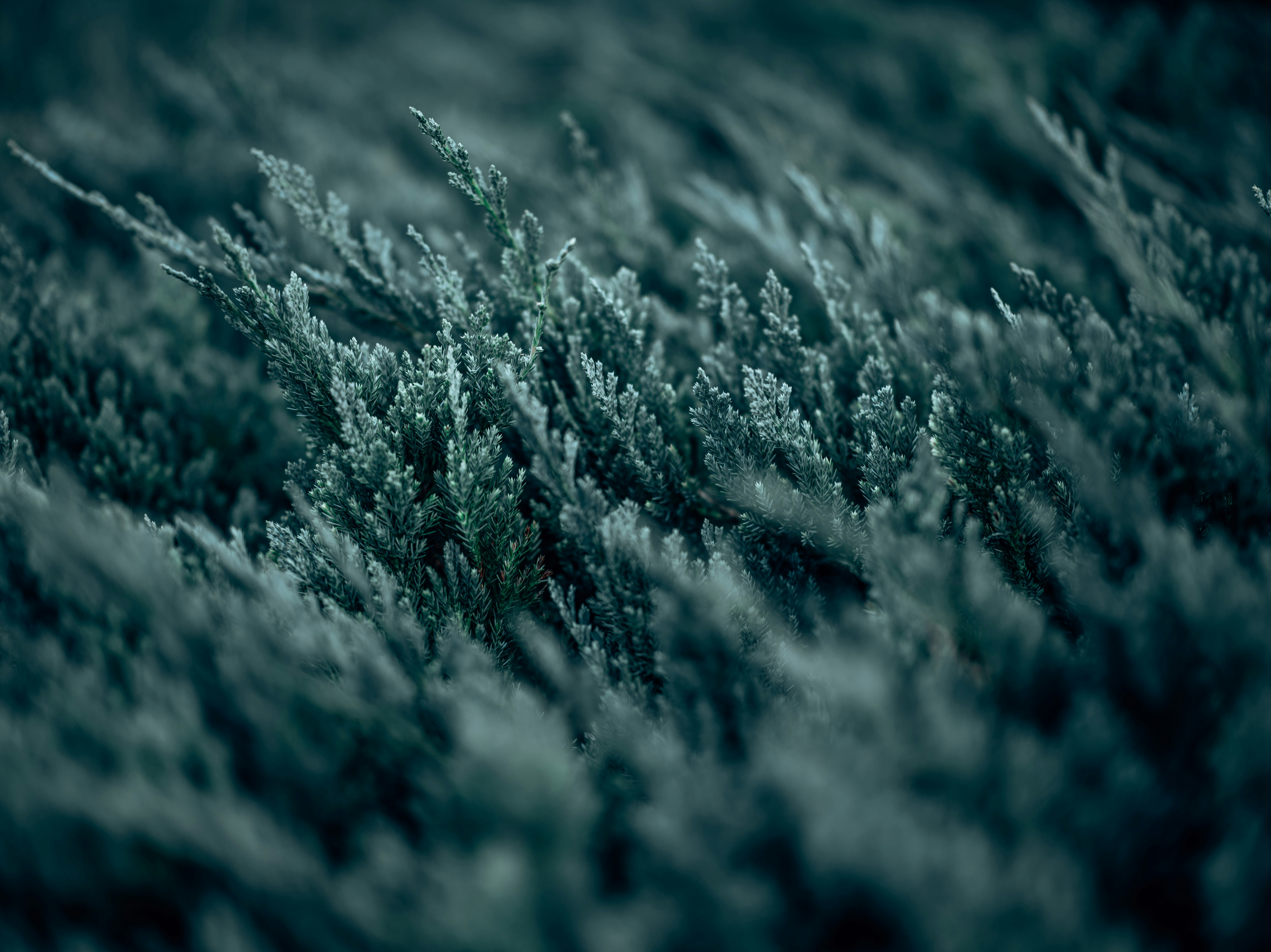 Photo by egorkomarov