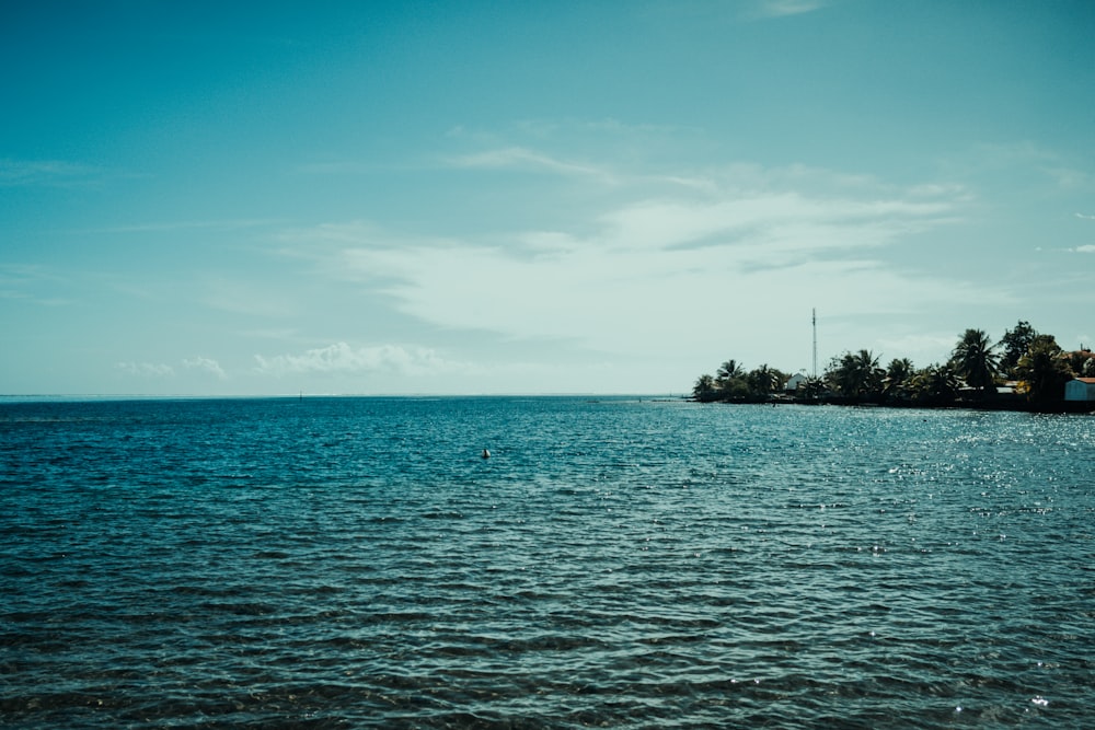 a body of water with trees and a land in the background