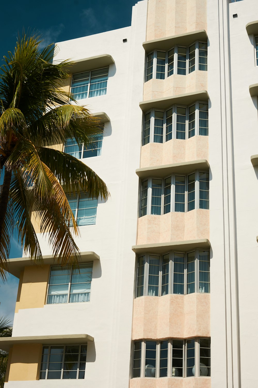 a tall building with a palm tree
