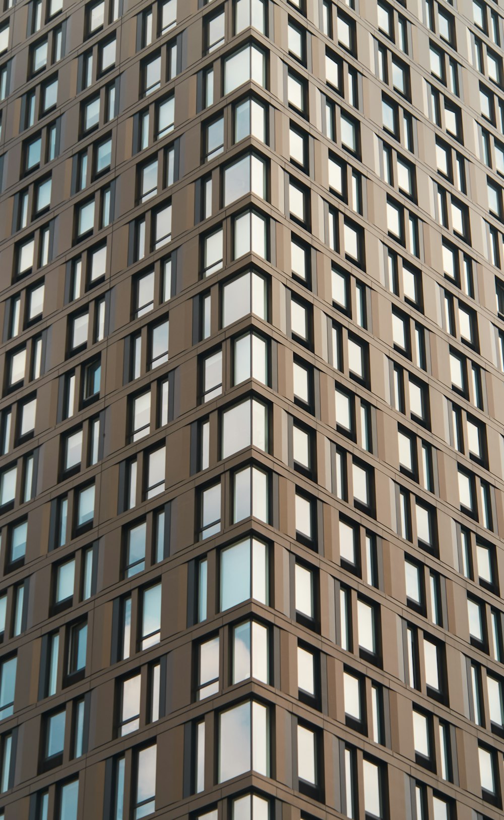 a building with many windows