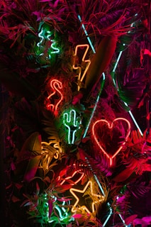 a close up of a colorful plant