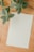 A wooden surface holds a blank sheet of paper accompanied by green leaves with intricate white vein patterns.