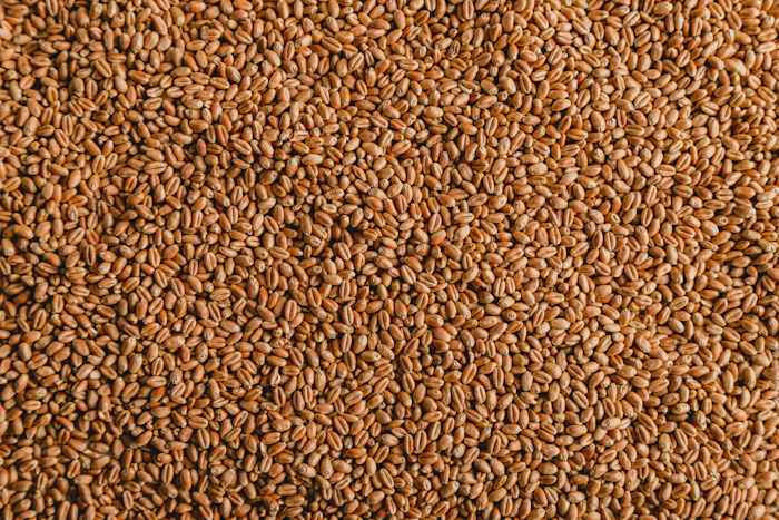 Close-up of grains