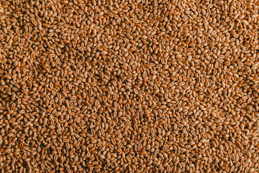 Céréales et Oléagineux