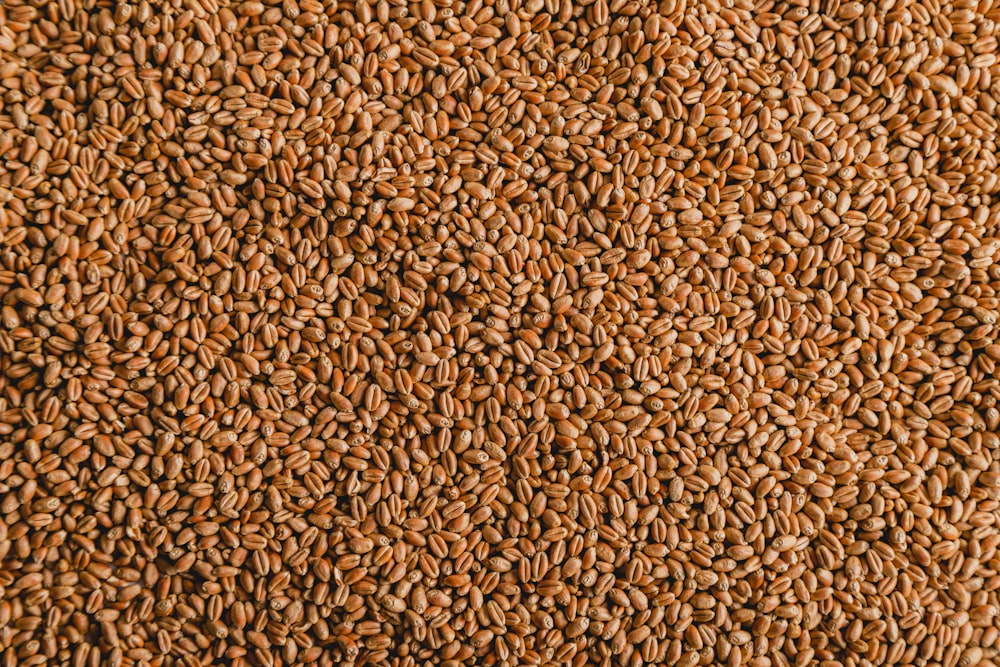 a close up of grains