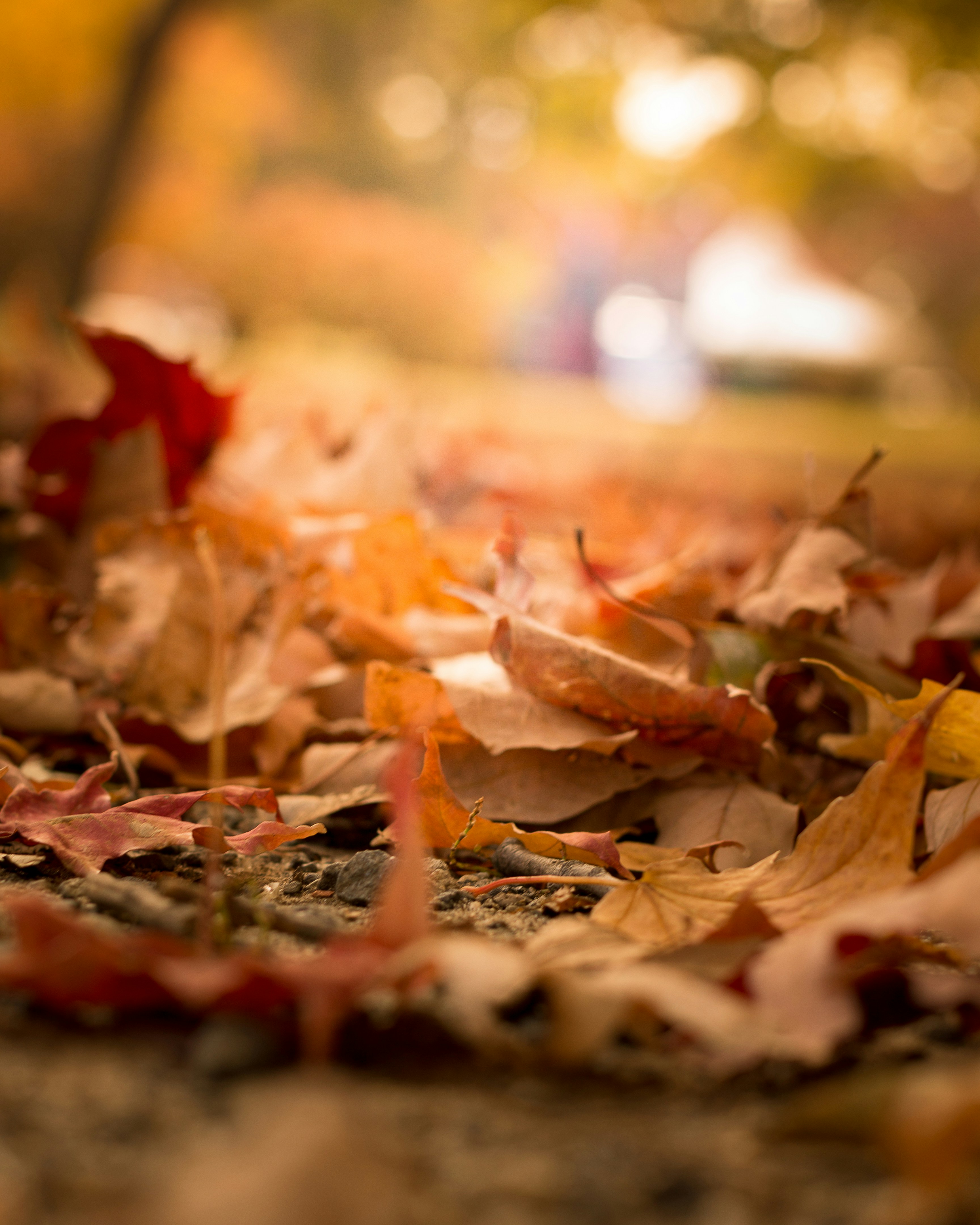 Photo by emmanuelphaeton