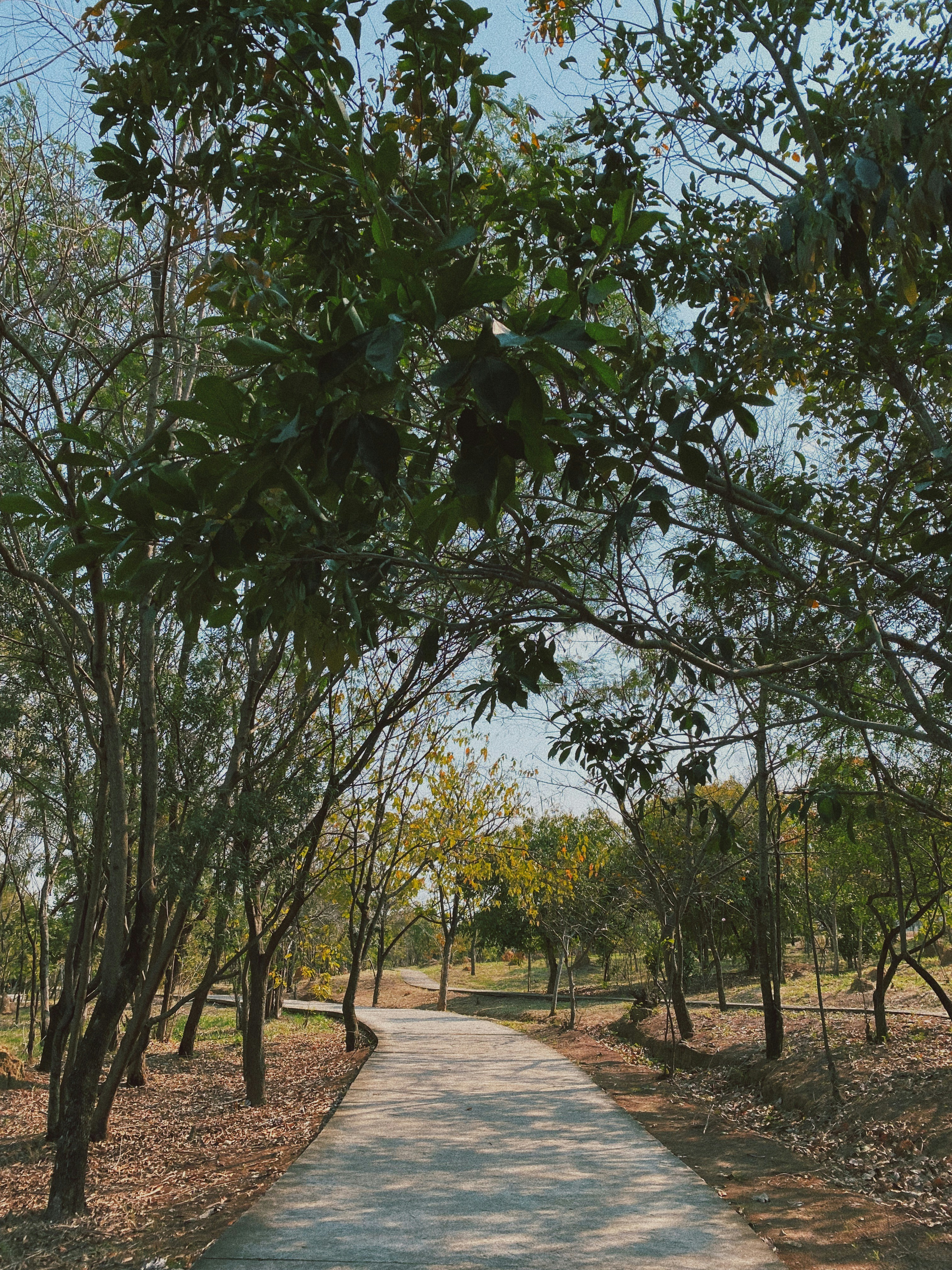 Photo by kenjikatahira